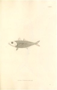 n414_w1150