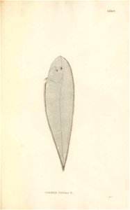 n202_w1150