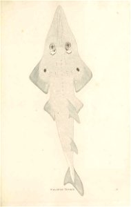 n112_w1150