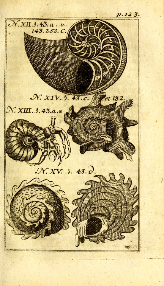 n138_w1150