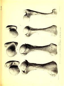 n178_w1150