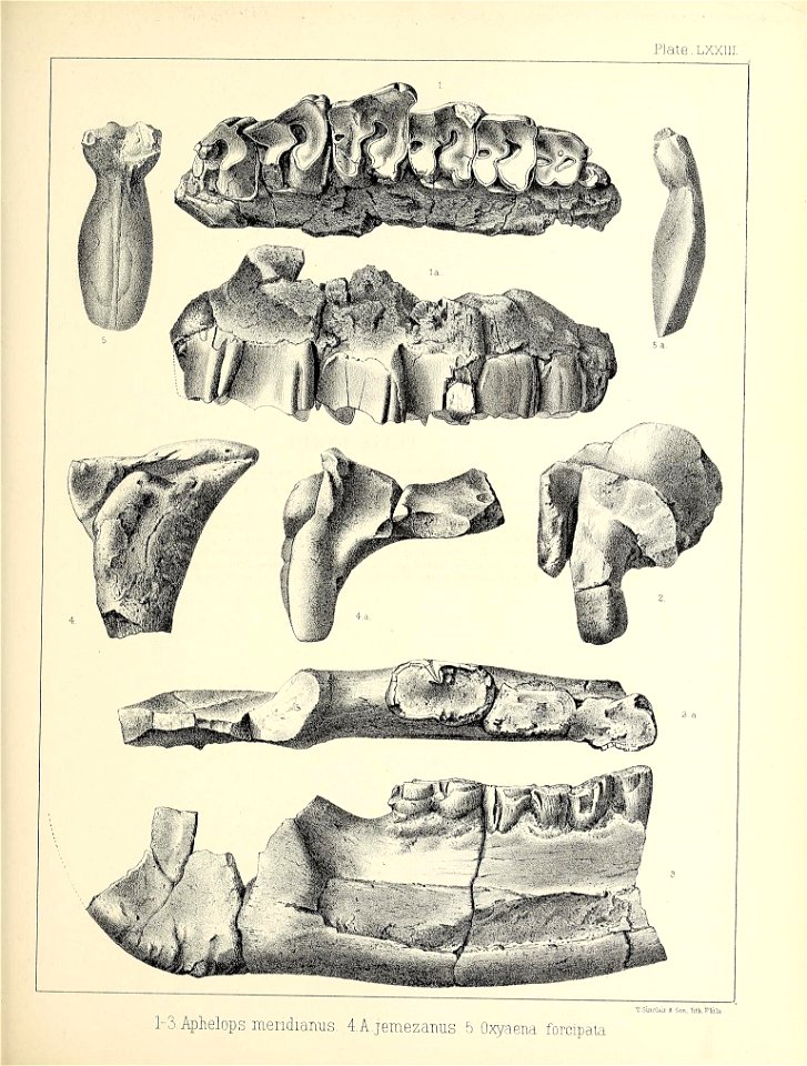 n608_w1150