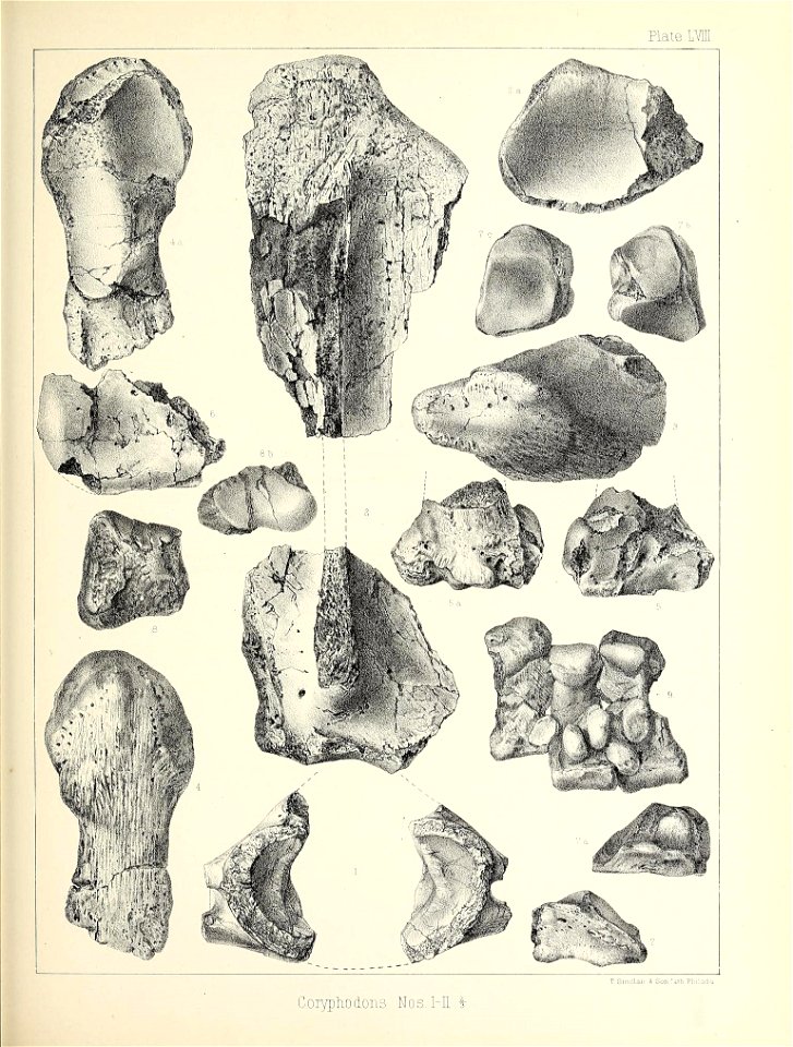 n544_w1150