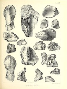 n544_w1150