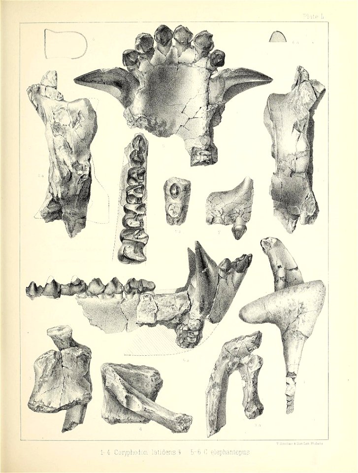 n512_w1150