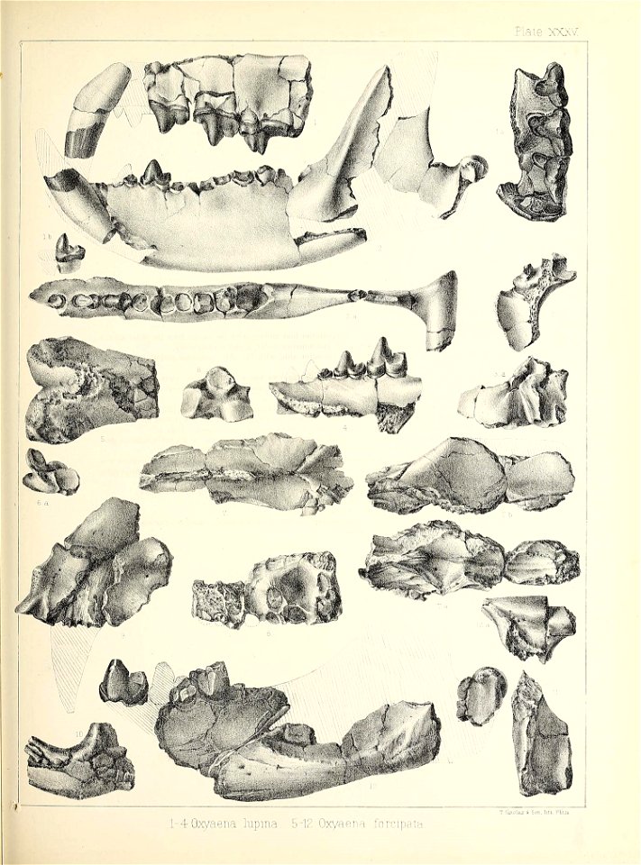 n452_w1150