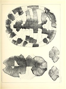 n420_w1150