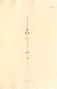 n472_w1150