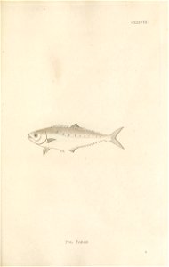 n412_w1150