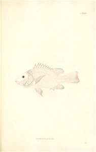 n382_w1150
