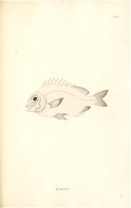 n352_w1150