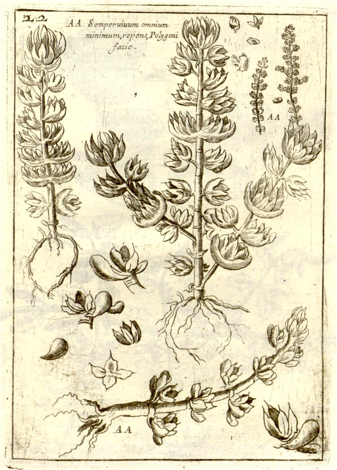 n227_w1150