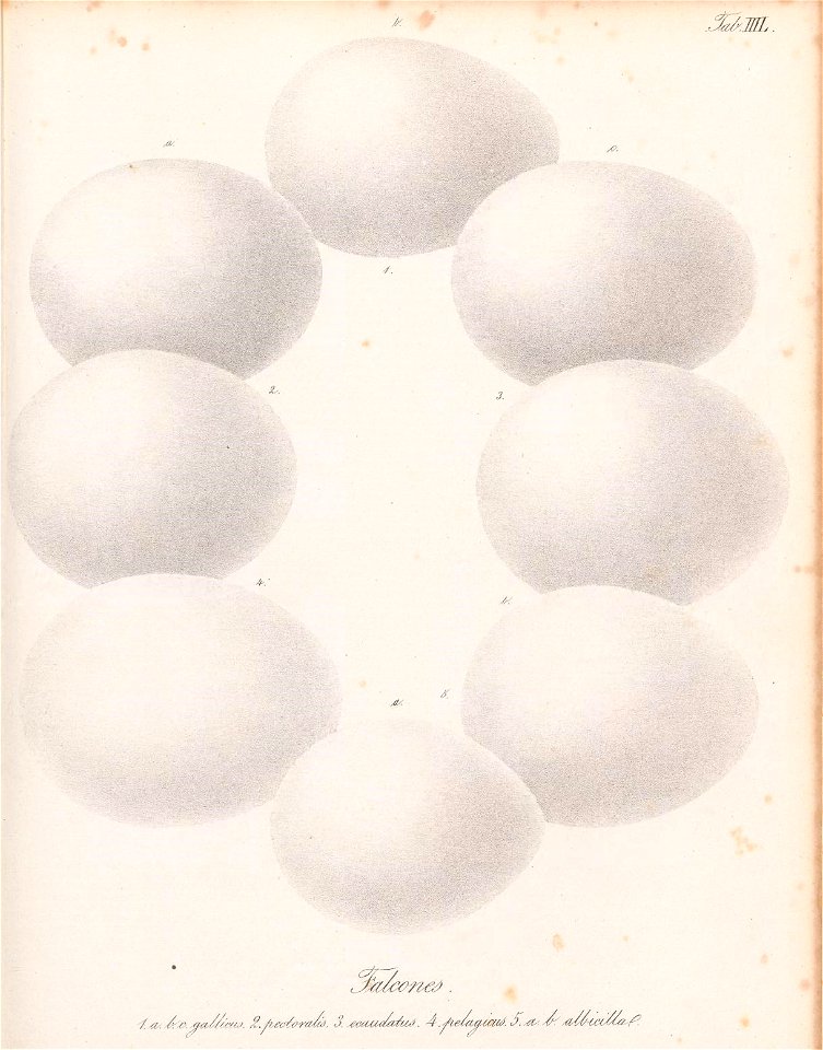 n98_w1150