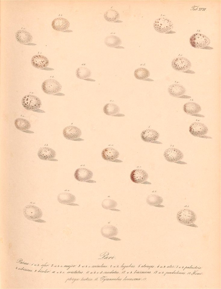n40_w1150