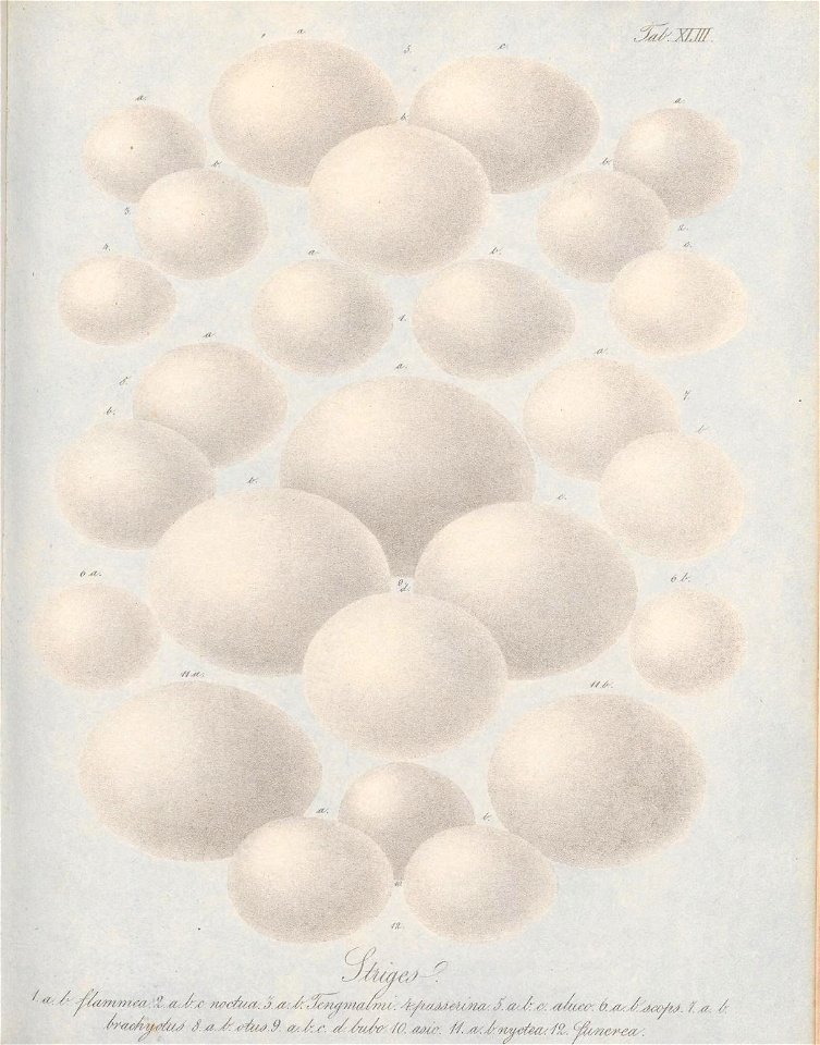 n90_w1150