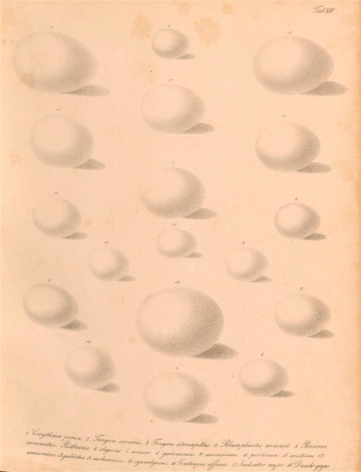n32_w1150