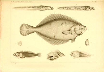 n496_w1150