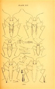 n312_w1150