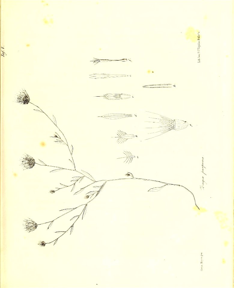 n108_w1150
