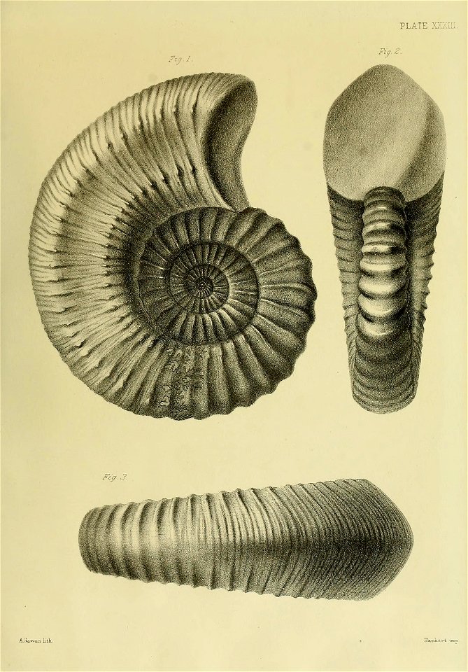 n144_w1150