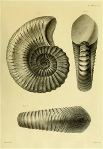 n144_w1150