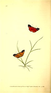 n137_w1150