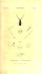 n112_w1150