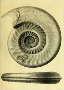 n256_w1150
