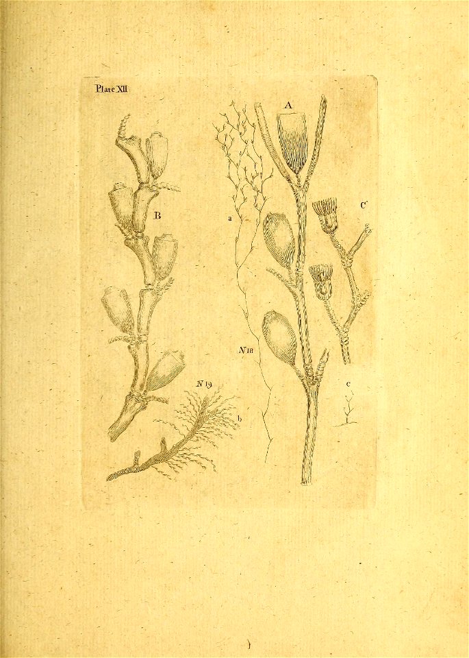 n174_w1150