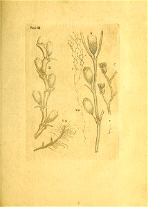 n174_w1150