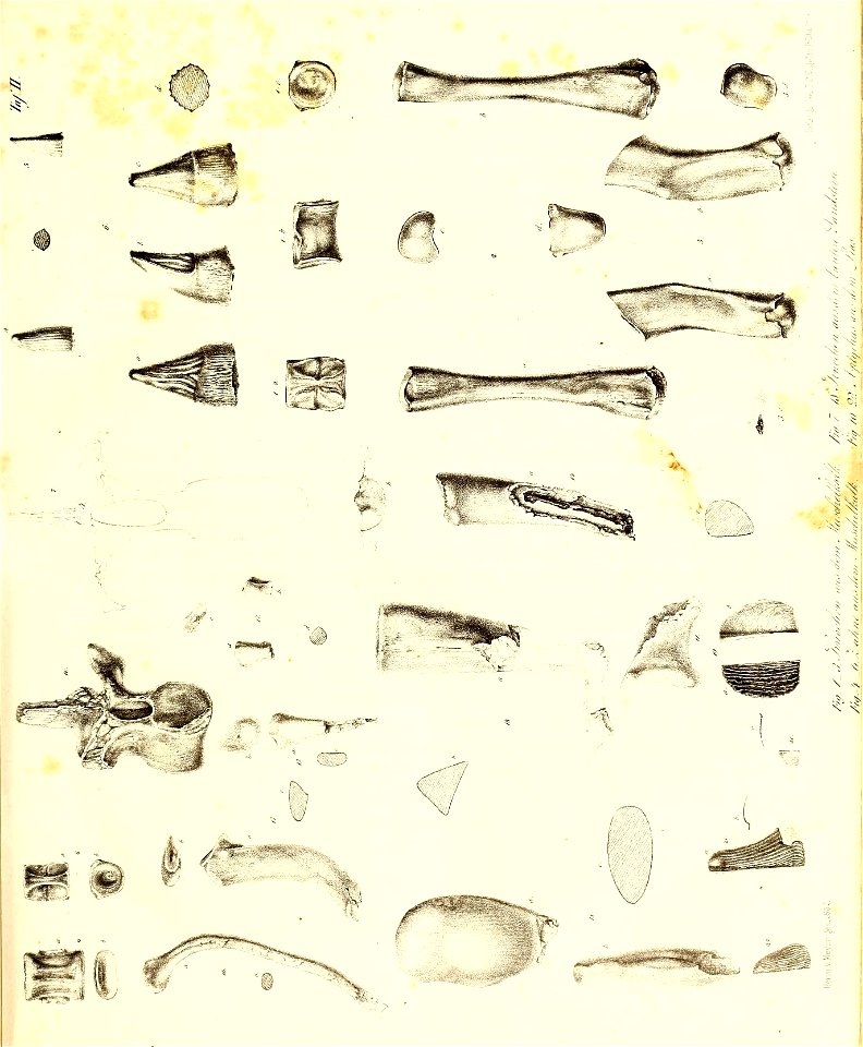 n42_w1150