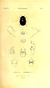 n106_w1150