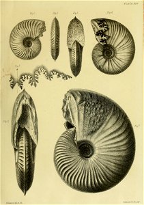 n192_w1150