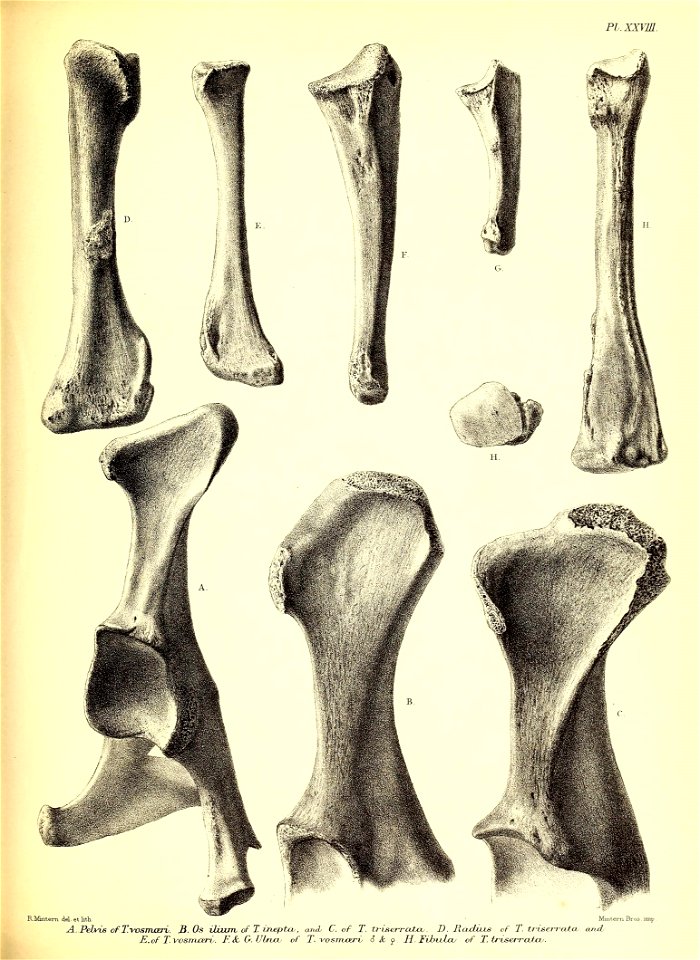 n176_w1150
