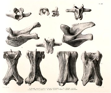 n136_w1150