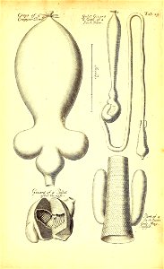 n516_w1150