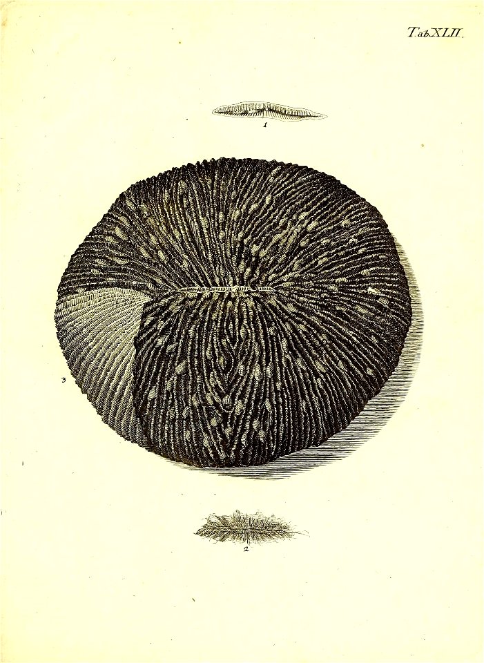 n206_w1150