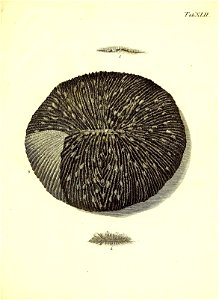 n206_w1150