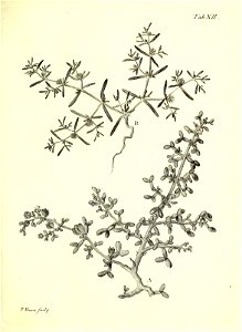 n84_w1150