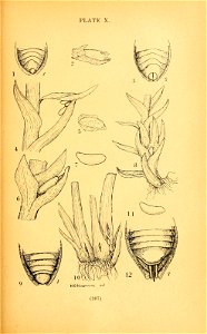n304_w1150