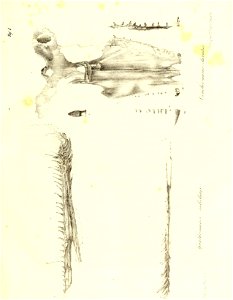 n28_w1150