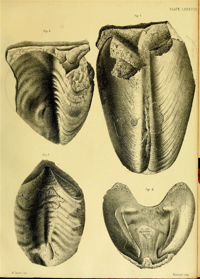 n368_w1150