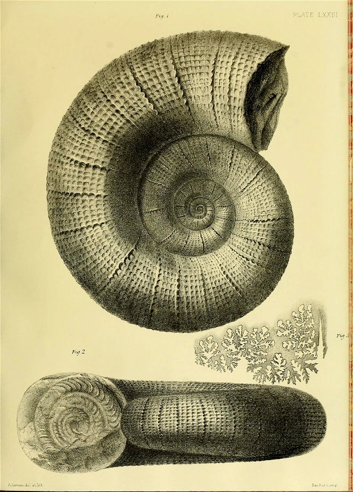 n308_w1150