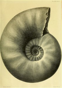 n188_w1150
