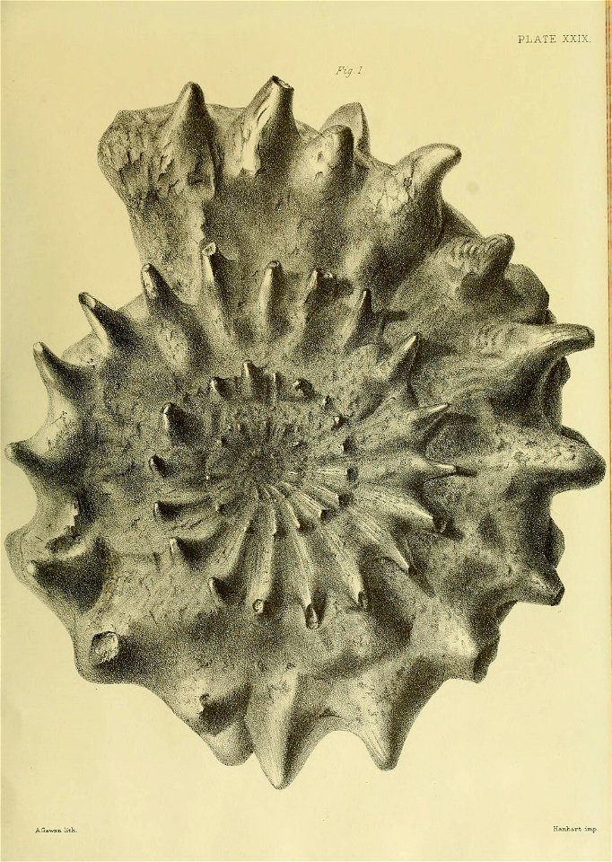 n128_w1150