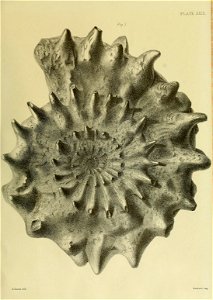 n128_w1150