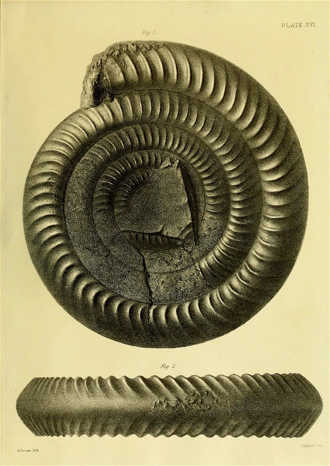 n68_w1150