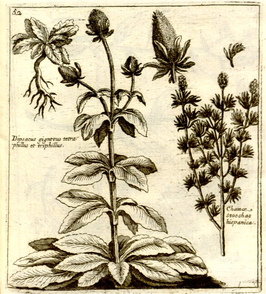 n257_w1150