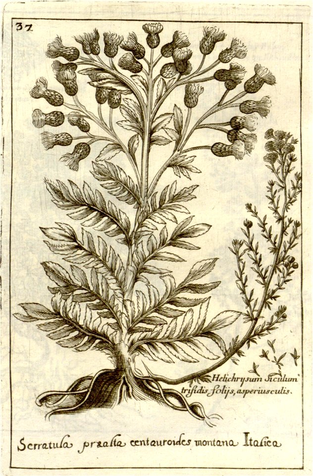 n242_w1150