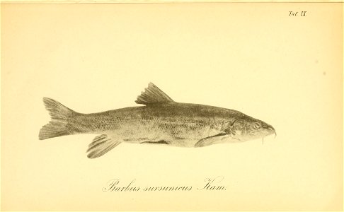 n206_w1150